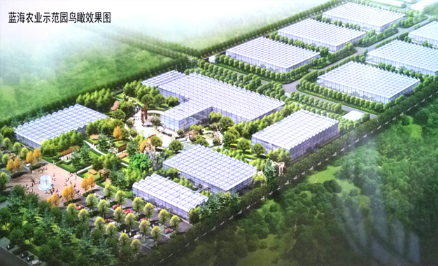 東營藍海農業示范園